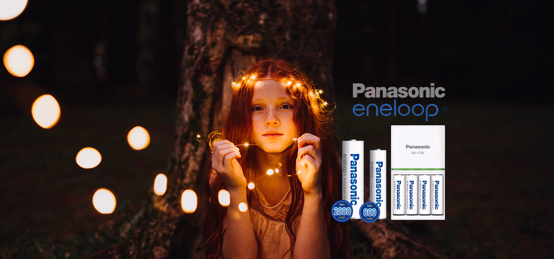 anasayfa-banner-eneloop-standart-rev2_result